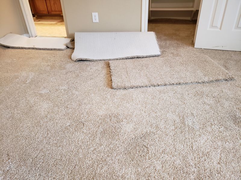Basement Carpet Repair in Overland Park, KS