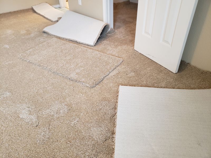 Basement Carpet Stretching in Freehold, NJ