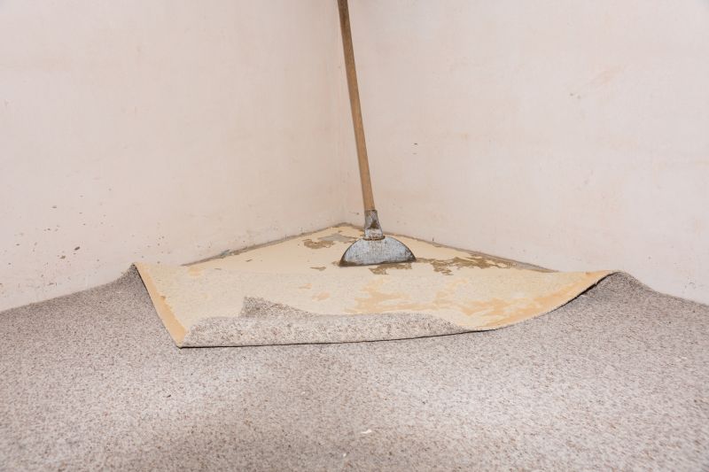 Carpet Hole Repair in Denver County, CO