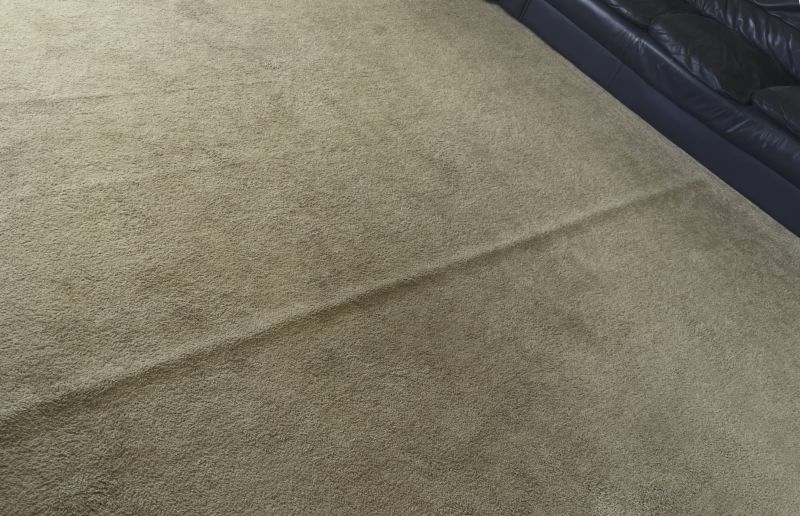 Carpet Repair Service in Kansas City, KS