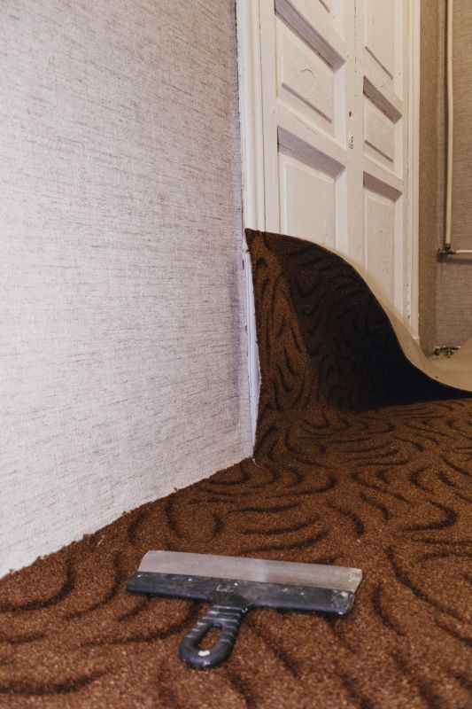 Carpet Underlay Replacement in Olathe, KS
