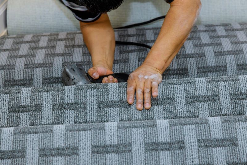 Pet Stain Carpet Repair in Olathe, KS