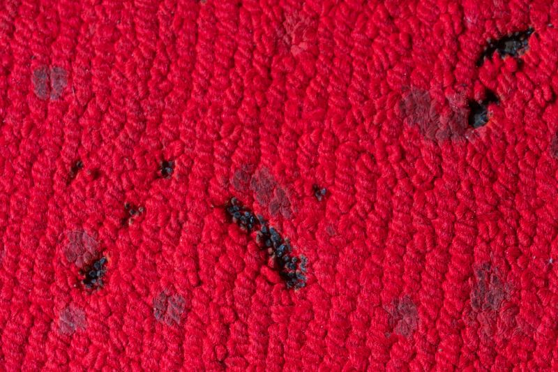 Residential Carpet Repair in Overland Park, KS